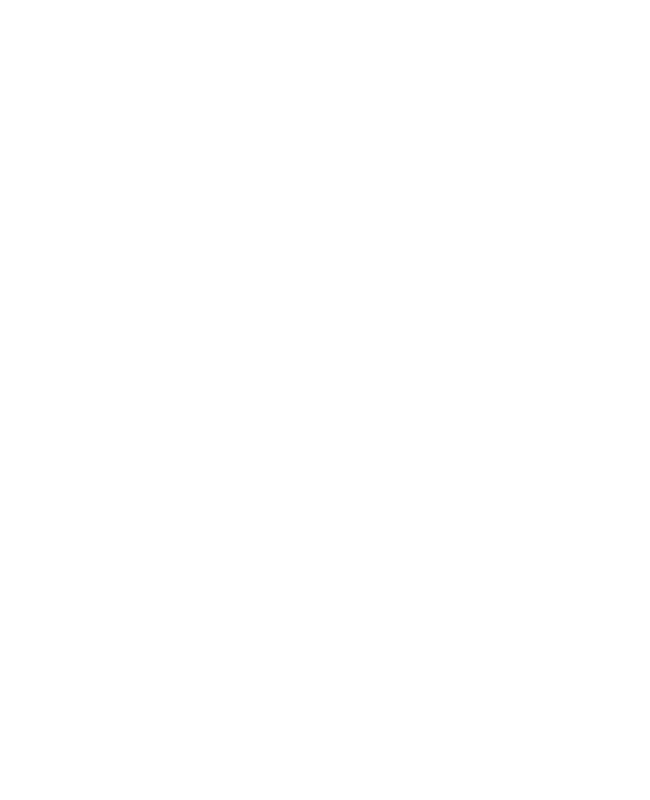 Layer