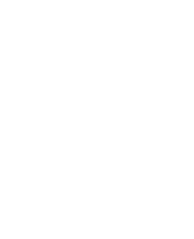 Layer