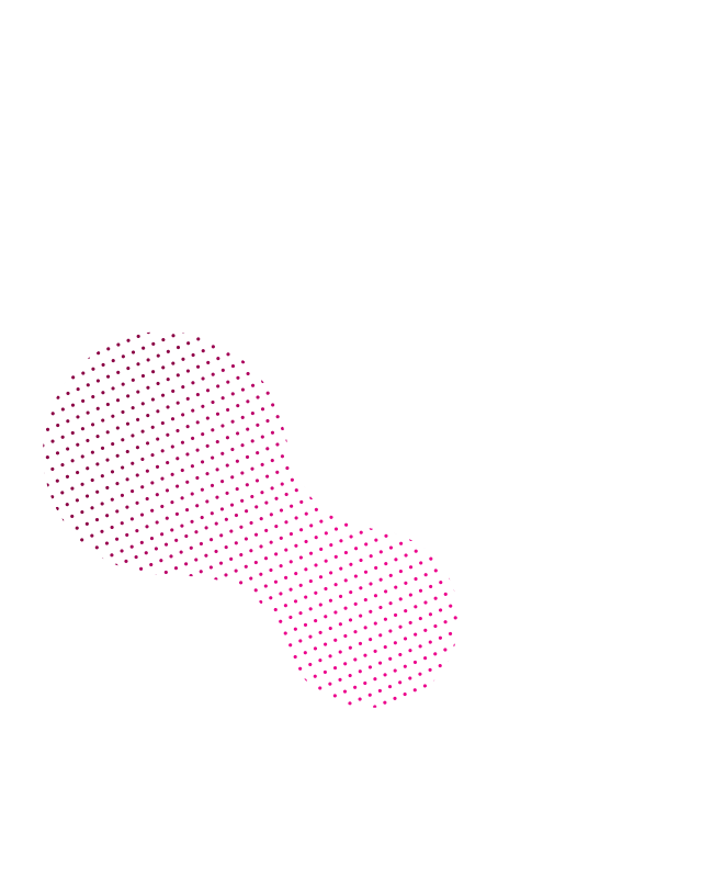 Layer