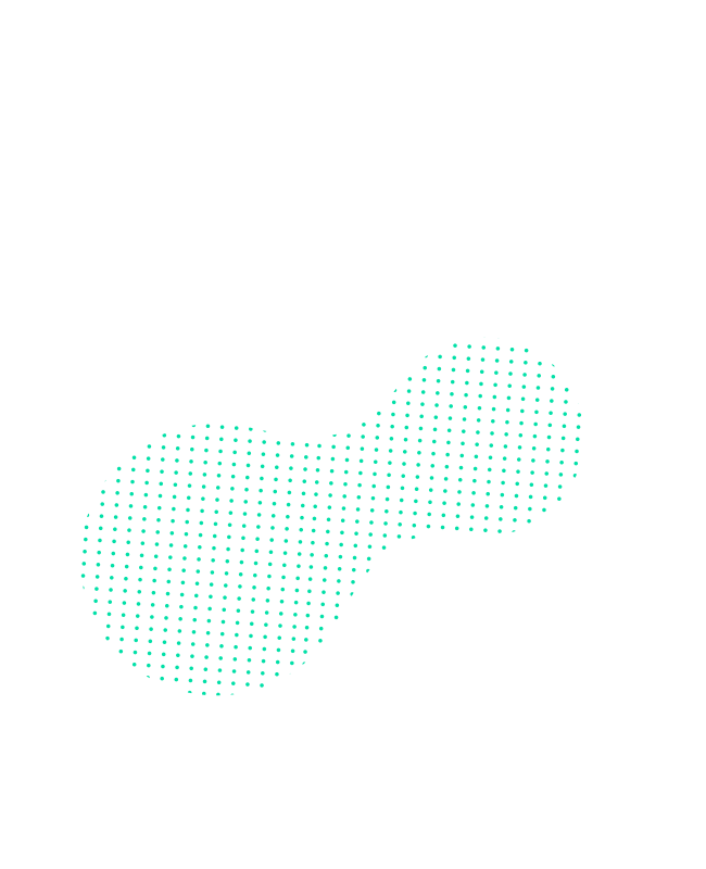 Layer