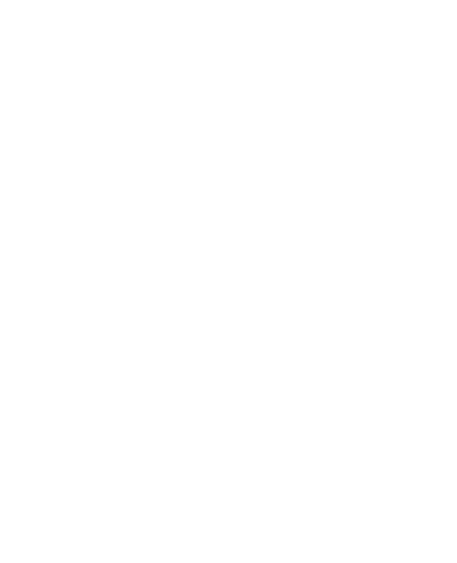 Layer
