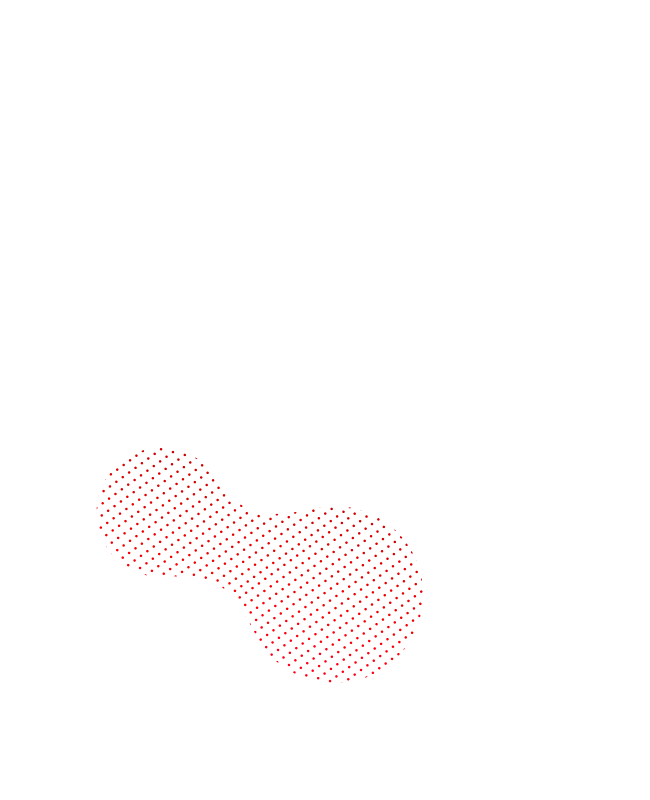 Layer