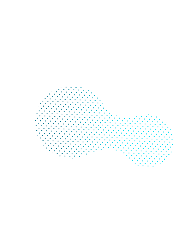 Layer