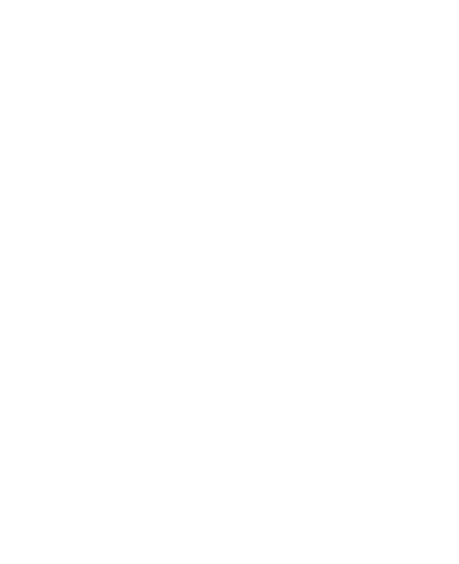 Layer